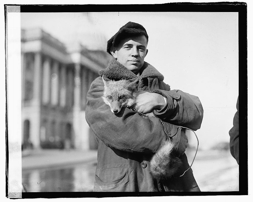 George M. Green holding a fox near the United States Capitol in 1919.